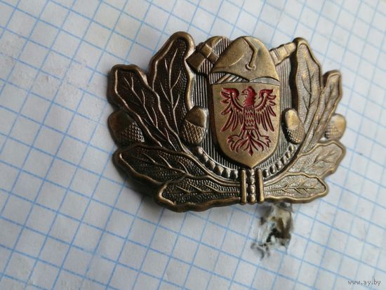 Знак ..кокарда Германия МЧС Пожарная охрана