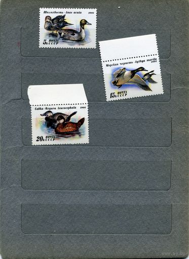 СССР, 1991, УТКИ  ,    серия, 3м ч