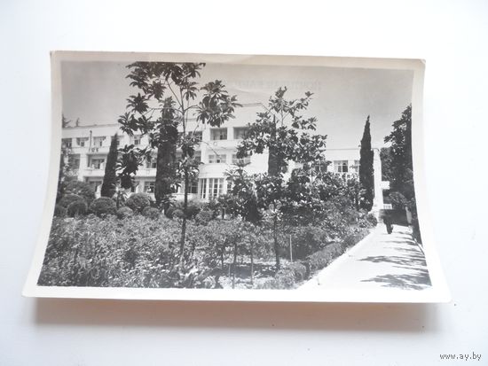Почт. карточка Сочи 1957г.