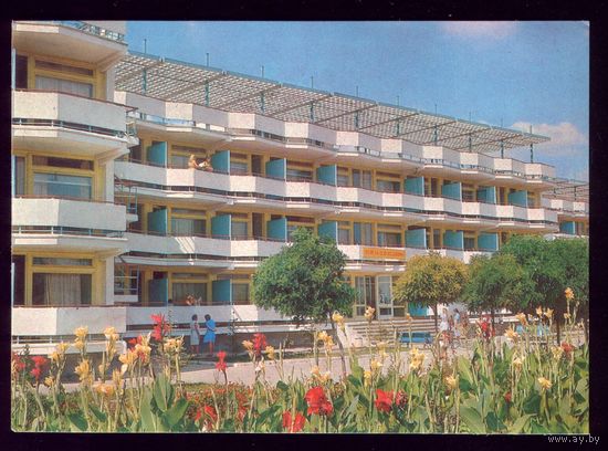 1979 год Анапа Пионерский лагерь Сокол