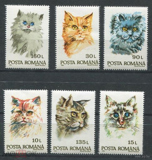Румыния. Коты. Красивая полная серия, 1993 г. см. условие.