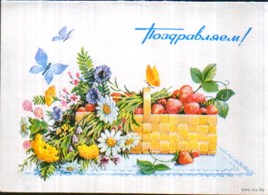 Чистая двойная мини-открытка 1985г. "Поздравляем! Полевые цветы" худ. Л. Курьерова