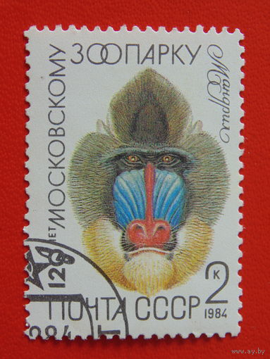 СССР 1984 г. Фауна.