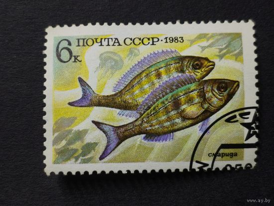 1983 СССР. Рыбы. 	Пятнистая зубатка