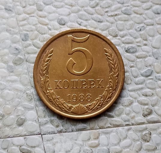 5 копеек 1988 года СССР. Очень красивая монета! Красивая жёлто-золотистая патина!