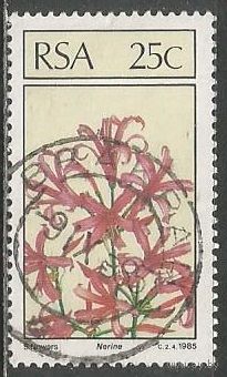 ЮАР. Цветы. Нерине. 1985г. Mi#675.
