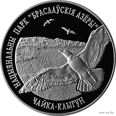 Торги. Серебро . 20 рублей . 2003 год. Нацыянальны парк "Браслаўскія азёры". Чайка–клыгун" ("Национальный парк "Браславские озера". Чайка серебристая  . Тираж 2000 шт.