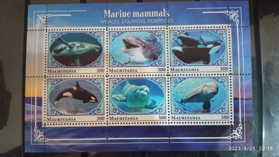 Блок рыбы морские обитатели MNH