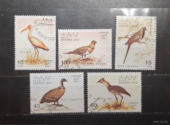Сахара. 1991 год. Фауна. Птицы (1201)