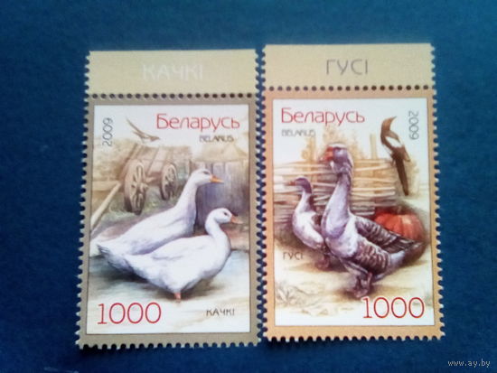 Беларусь 2009 серия домашние птицы