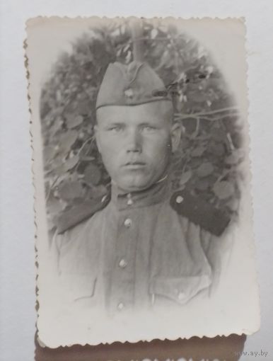 Фото в коллекцию