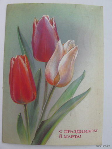 8 Марта   1987