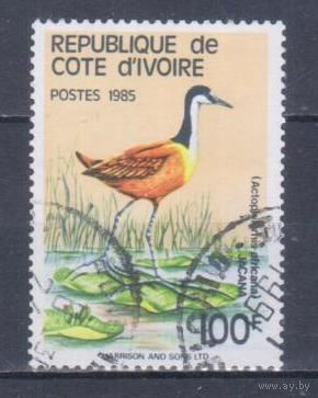 [1225] Кот д'Ивуар 1985. Фауна.Птицы.Якана. Гашеная марка. Кат.гаш.17 е.