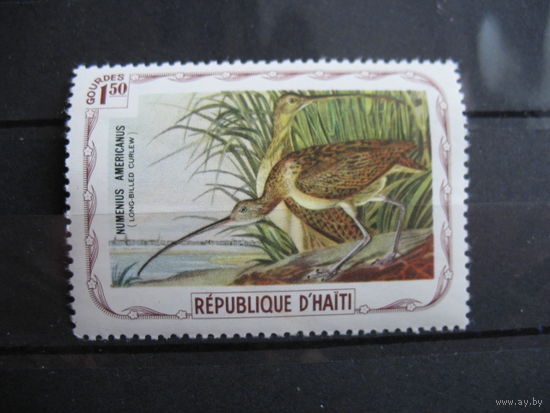 Гаити.  Птицы Адюбон.  1975 г. см. условие.
