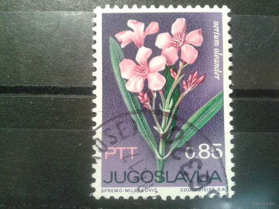 Югославия, 1967. Олеандр обыкновенный