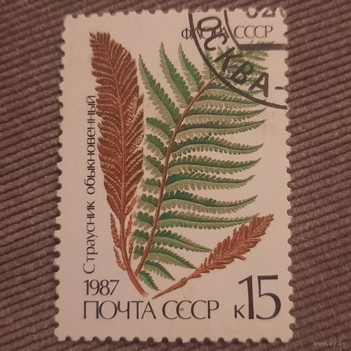 СССР 1987. Флора СССР. Страусник обыкновенный. Марка из серим