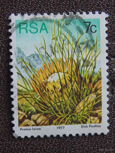 ЮАР 1977 г. Цветы.