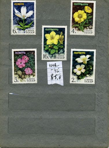 СССР, 1977, ЦВЕТЫ гор сибири,  серия 5м ,  (справочно на "СКАНЕ" приведен цены и номера по Загорскому)