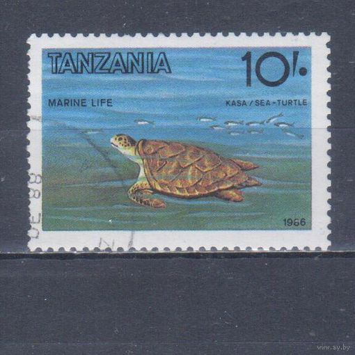 [651] Танзания 1986. Фауна.Черепаха. Гашеная марка. Кат.гаш.2,8 е