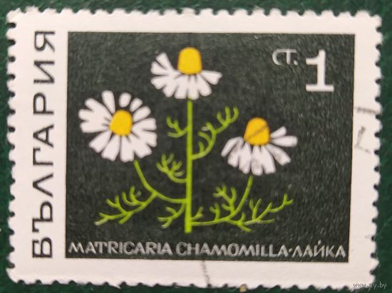 Болгария 1969 лекарственные растения, 1 из 8, клей.