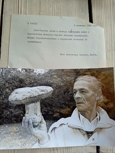 Фото Р.Б\9