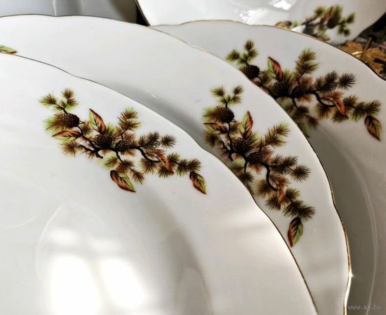 Japan. Япония.Тарелки. 7 штук. Костяной Фарфор. Кедровая ветка. Шишки. Диаметр 23 см