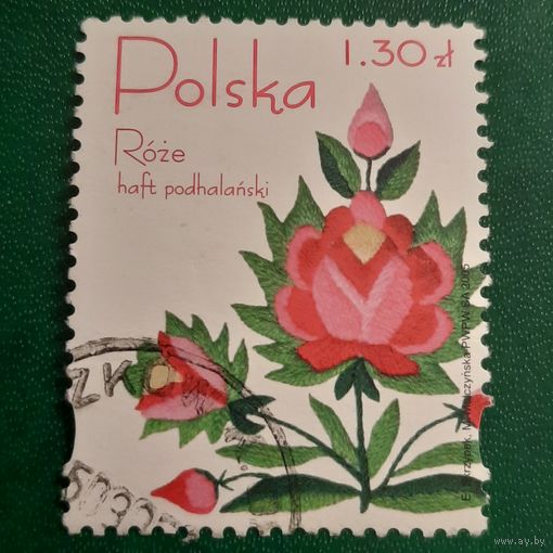 Польша 2005. Флора. Розы