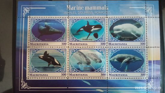 Блок рыбы морские обитатели MNH