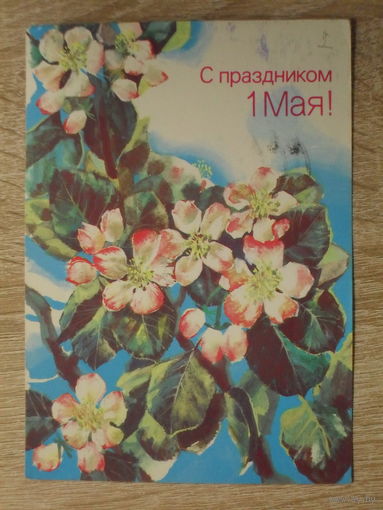 ПОДПИСАННАЯ ОТКРЫТКА СССР.  "С ПРАЗДНИКОМ 1 МАЯ." худ. М. МОРОЗОВ. 1988 год.