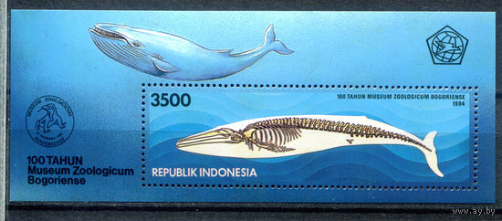 Индонезия - 1994г. - киты, 100 лет зоологическому музею - 1 блок - полная серия, MNH с незначительным дефектом клея [Mi bl. 97]. #4-W1-Z-2-11