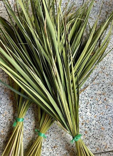 Зубровка ( сухая)