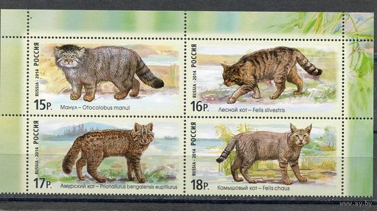 Россия 2014. Дикие кошки. Верхний квартблок листа