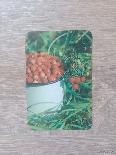 Календарик 1991