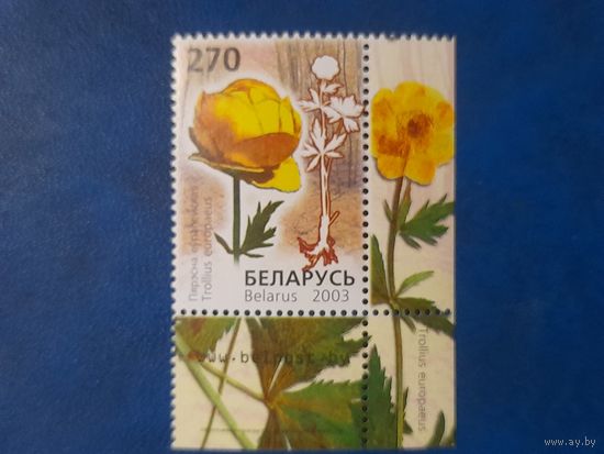 Беларусь 2003 флора