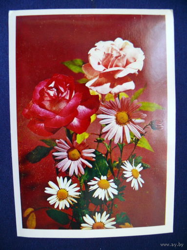 Фото Столярова Б., Композиция из цветов, 1975, чистая.