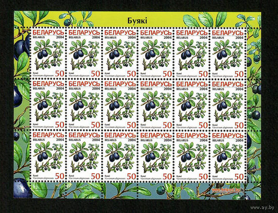 Беларусь. 2004. Стандарт. Голубика 50р. Лист 6х3