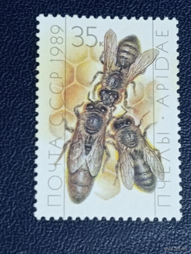 СССР 1989г. Пчёлы.