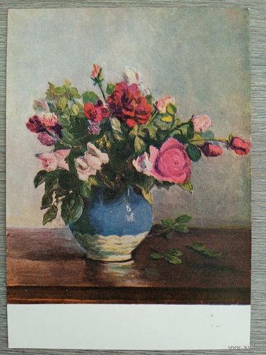 1960. Голубец. Розы