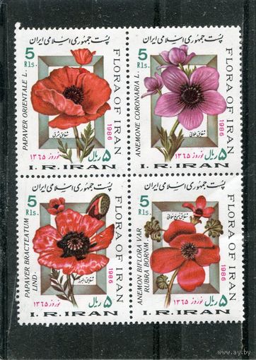 Иран. Флора. Цветы. Праздник прихода весны и Нового года