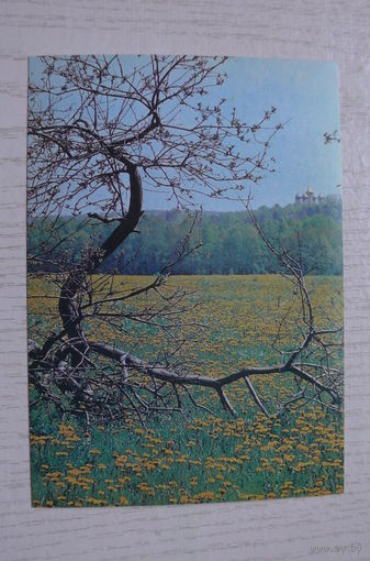 Буркин Ю., Одуванчики; 1990, чистая.