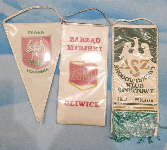 Вымпела Польские.