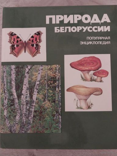 Природа Белоруссии.