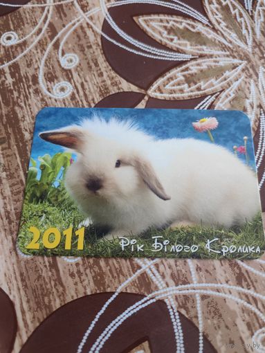 Календарик,кролик,2011