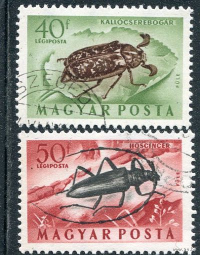 Венгрия. Жуки