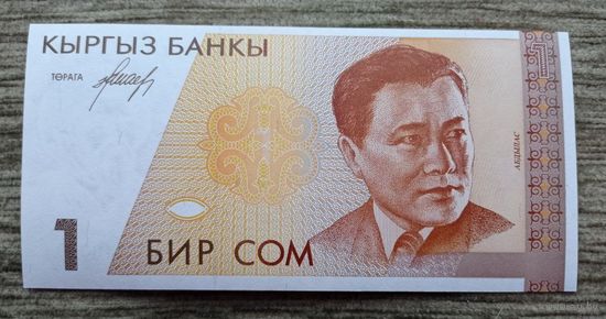 Werty71 КИРГИЗИЯ КЫРГЫЗСТАН 1 СОМ 1994 UNC банкнота
