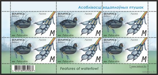 2023 БЕЛАРУСЬ  малый лист марок "Лыска" MNH