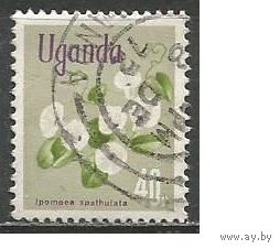 Уганда. Цветы. Ипомея. 1969г. Mi#110.