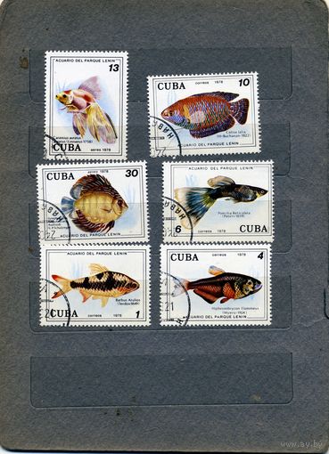 КУБА, 1978, РЫБЫ,  серия  6м гашен