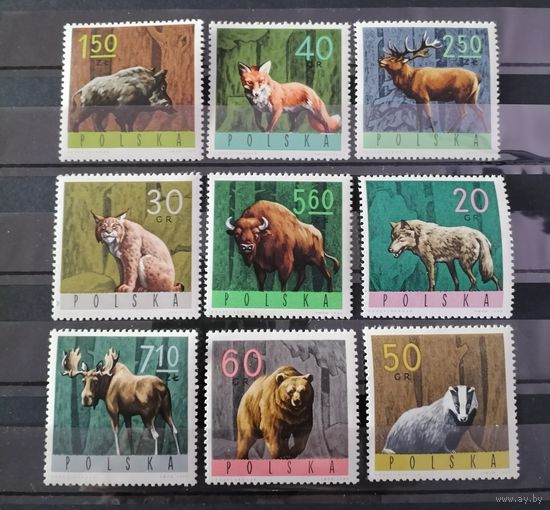 Польша 1965 фауна
