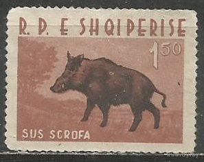 Албания. Вепрь. 1962г. Mi#701.